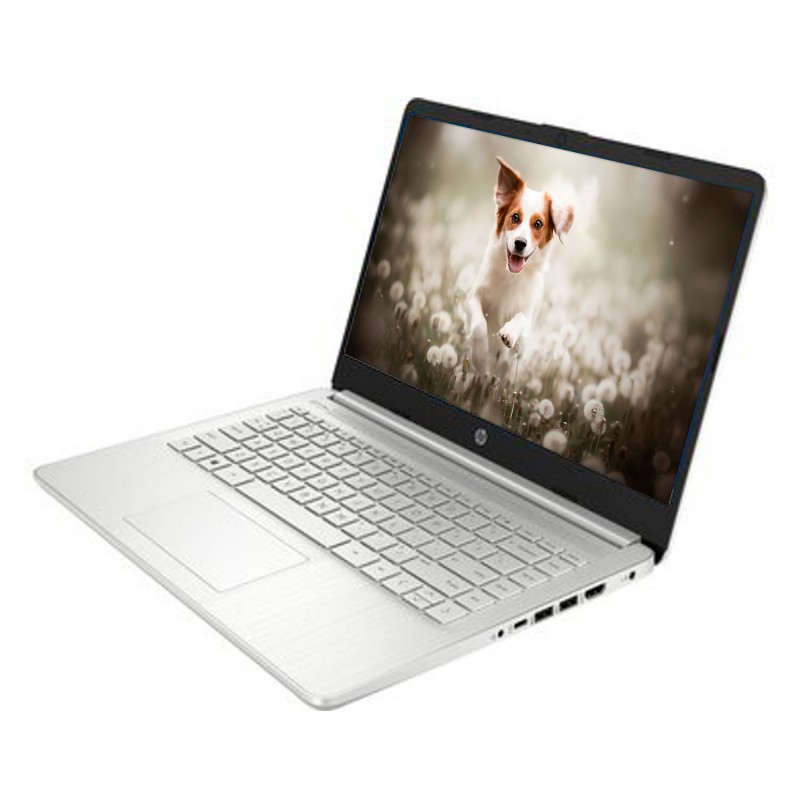 Laptop HP FQ0028 AMD 3050U 8gb + 256 Ssd 14 FHD